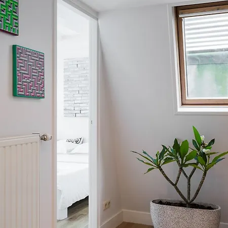 House Of Arts - Centre