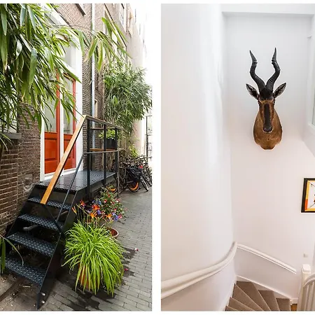 House Of Arts - Centre Amsterdam